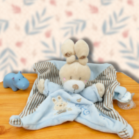 Ponpon Le Compagnon des Premiers Pas