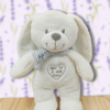 design-sans-titre-2023-12-05t141057-138.png Tini le Compagnon des Secrets Doux