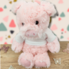 doudou-cochon-rose.png Rudy Gardien des Secrets