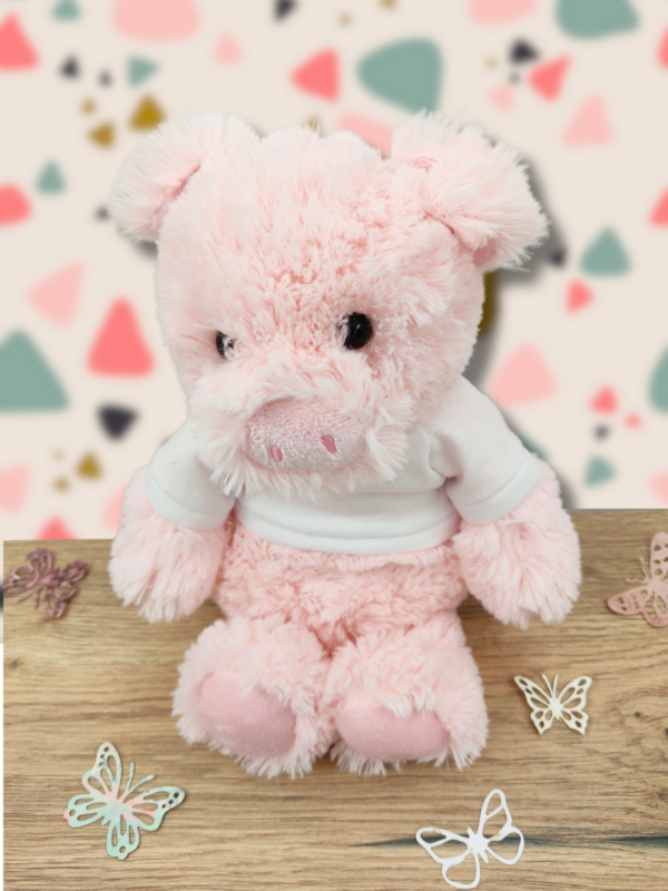doudou-cochon-rose.png Rudy Gardien des Secrets