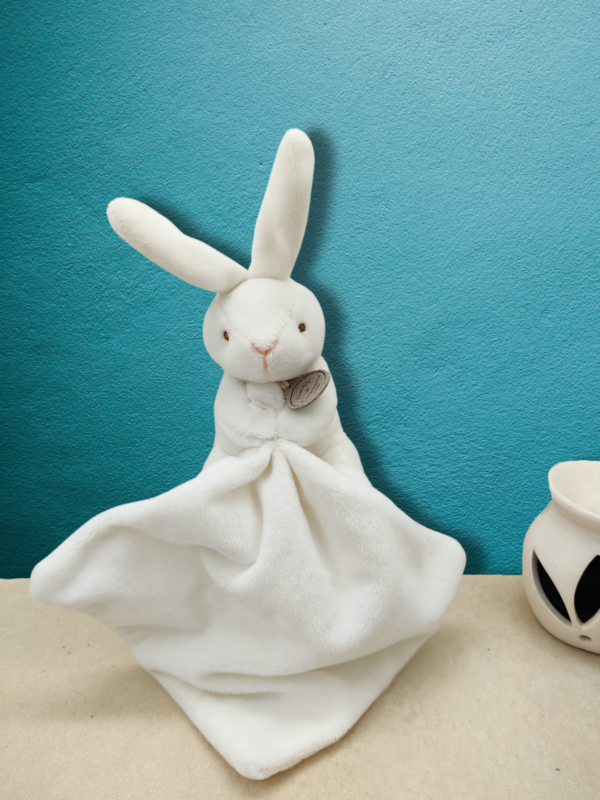 Routy le lapin câlin - Doudou personnalisé