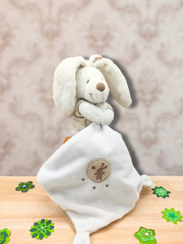 doudou-lapin-blanc-mouchoir-blanc.png Finn, le lapin blanc espiègle - Doudou personnalisé