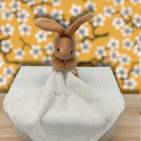 doudou-lapin-marron-mouchoir-creme.png Eliott, le Petit Lapin Marron au Mouchoir crème - Doudou personnalisé