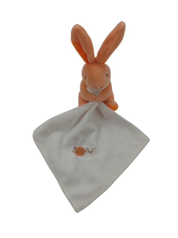 Biscotte le lapin en folie - Doudou personnalisé