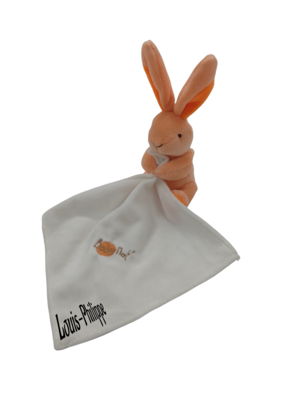 Biscotte le lapin en folie - Doudou personnalisé