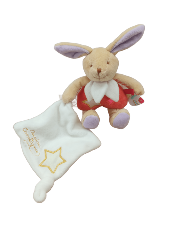 Lou, le lapin lumineux – Doudou personnalisé