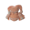 doudou-ours-personnalise-abricot.png Stan l’ourson charmeur – Doudou personnalisé