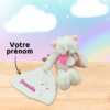 doudou-personnalise-chat-rose-doudou-et-compagnie-cadeau-bebe-fille-2-jpg.png Ambre, le chat affectueux D&C- Doudou personnalisé