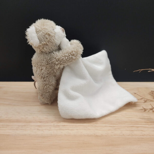 img-20241030-201909.jpeg Pirouette l'ours grognon - Doudou personnalisé