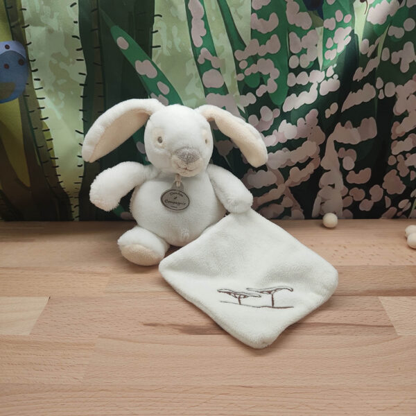 img-20250225-190644.jpeg Boris le lapin paisible – Doudou personnalisé