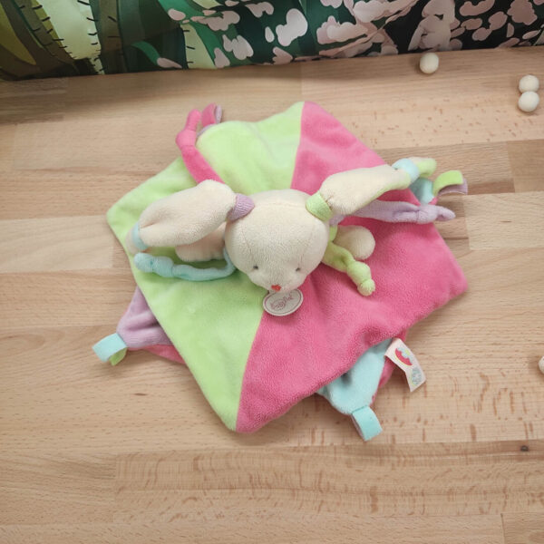 img-20250225-190842.jpeg Nini la lapine rigolote – Doudou personnalisé