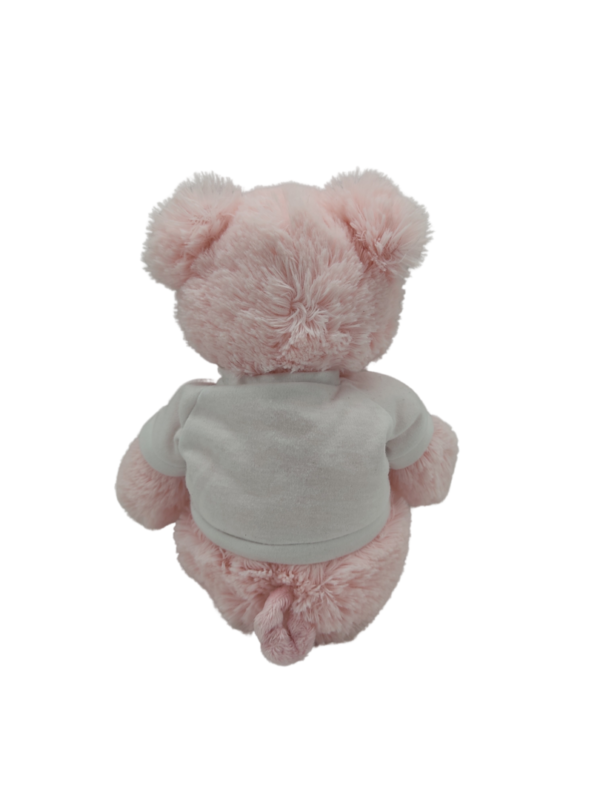 peluche-cochon-rose-t-shirt-cuddly-friends-1.png Rudy Gardien des Secrets