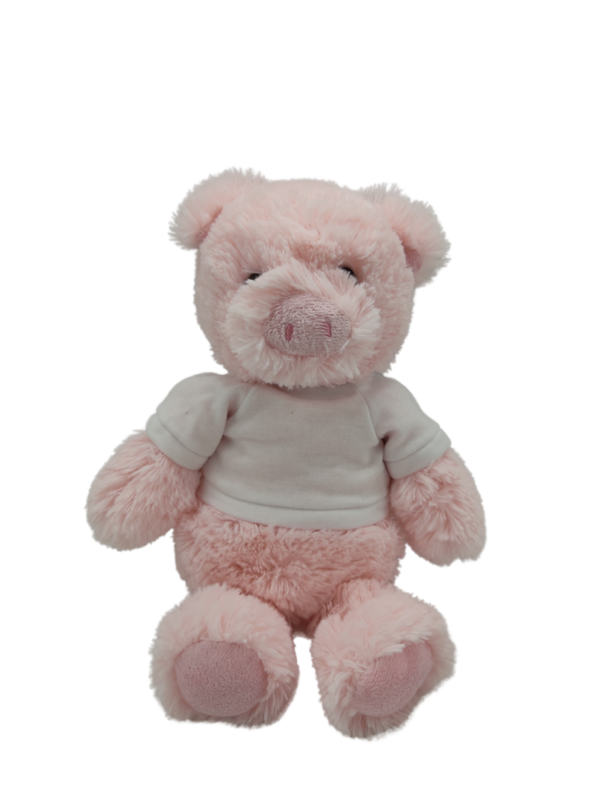 peluche-cochon-rose-t-shirt-cuddly-friends.png Rudy Gardien des Secrets