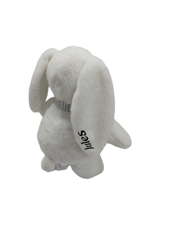 peluche-lapin-blanc-pommette-1.png Tini le Compagnon des Secrets Doux