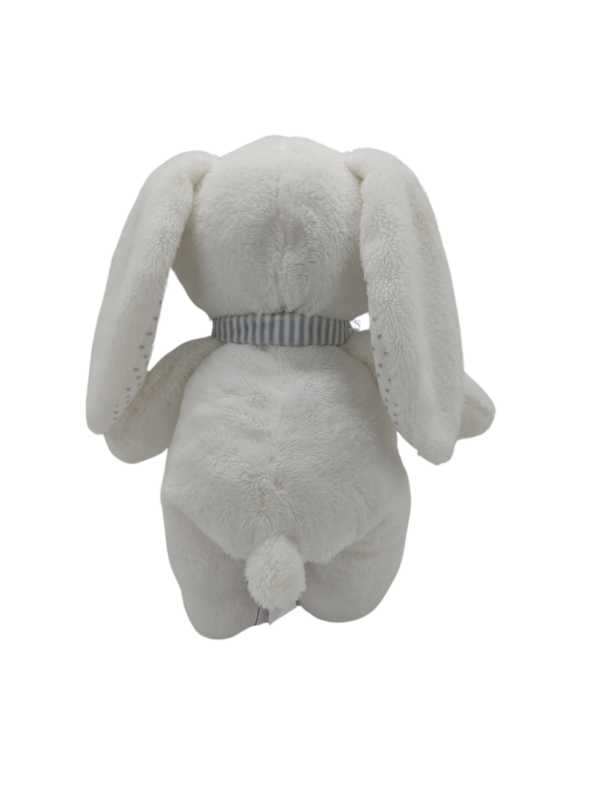 peluche-lapin-blanc-pommette-2.png Tini le Compagnon des Secrets Doux
