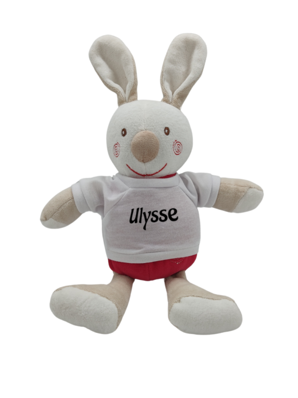 peluche-lapin-corps-rouge-t-shirt-sucre-d-orge.png Loupio Doudou Rieur