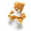 Arthur l'ours en peluche - Peluche personnalisée