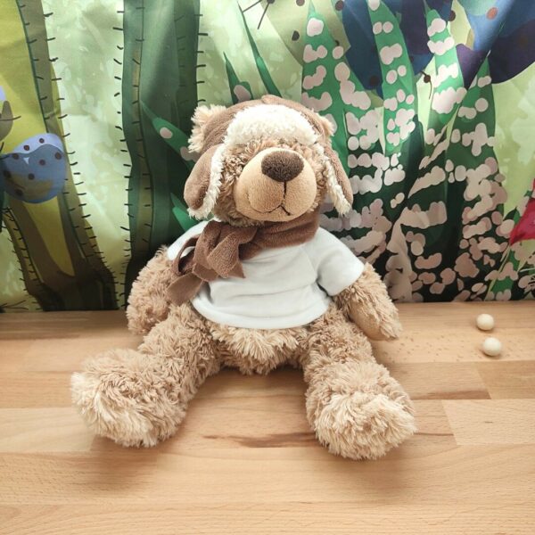 Nounours l'aviateur adorable – Peluche personnalisée
