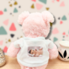 peluche-photo-1.png Rudy Gardien des Secrets