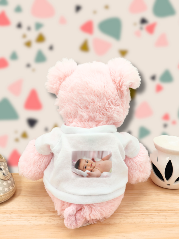 peluche-photo-1.png Rudy Gardien des Secrets