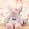 peluche-photo.png Rudy Gardien des Secrets