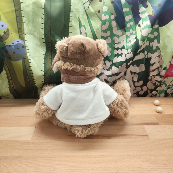 Nounours l'aviateur adorable – Peluche personnalisée