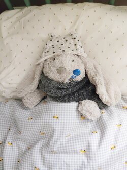 doudou malade