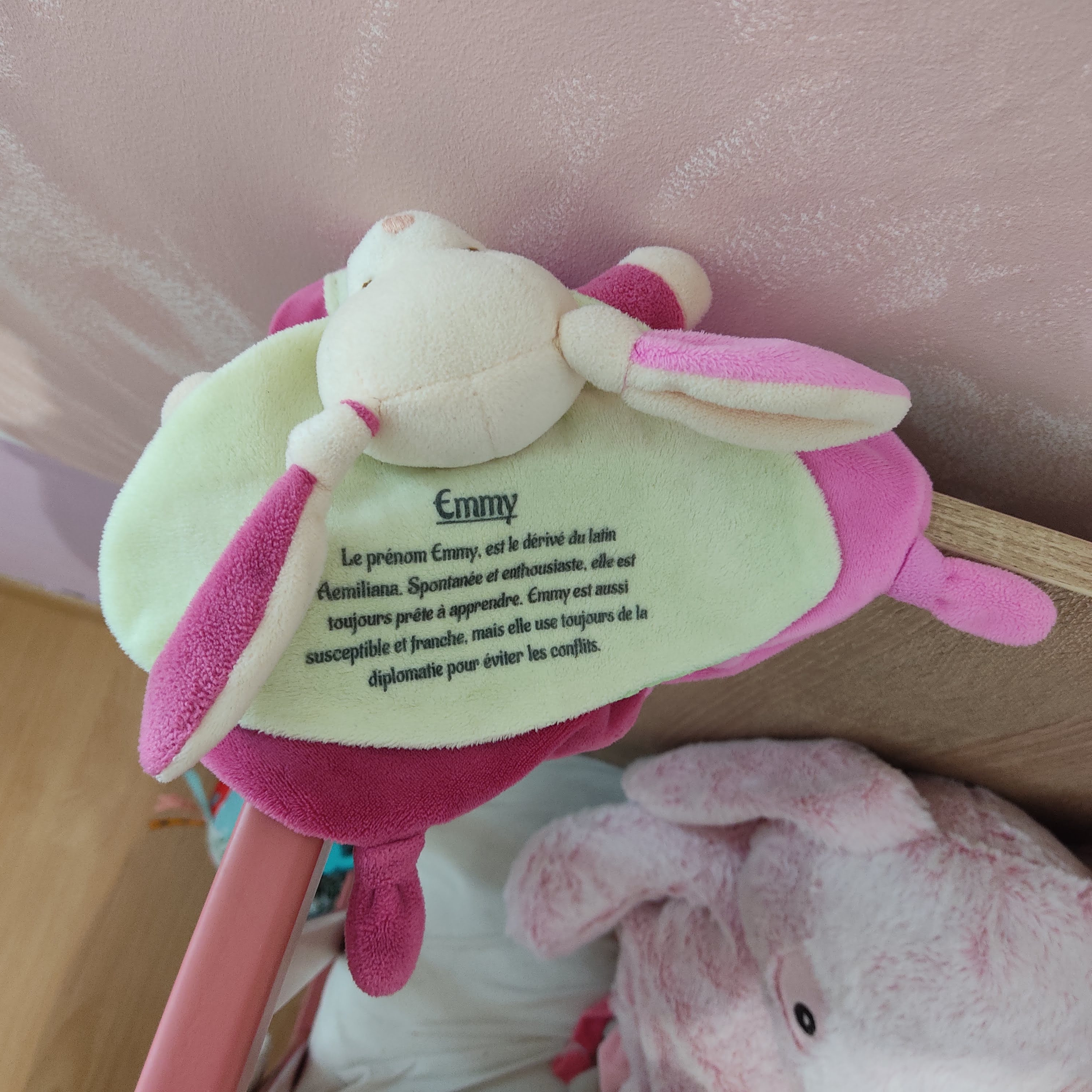 Doudou personnalisé étymologie