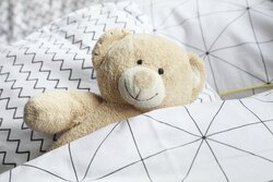 Peluche Ours Brun