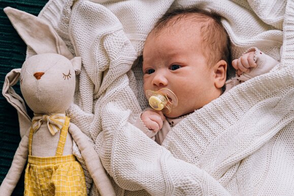 Photos gratuites de animal en peluche, bébé, jouet en peluche