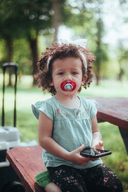 Photos gratuites de accessoires de bébé, après-midi, arbres