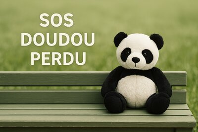 sos-doudou-perdu-panda-imaginoms
